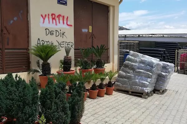 Vanlı Çiçekçilik - Resim 7