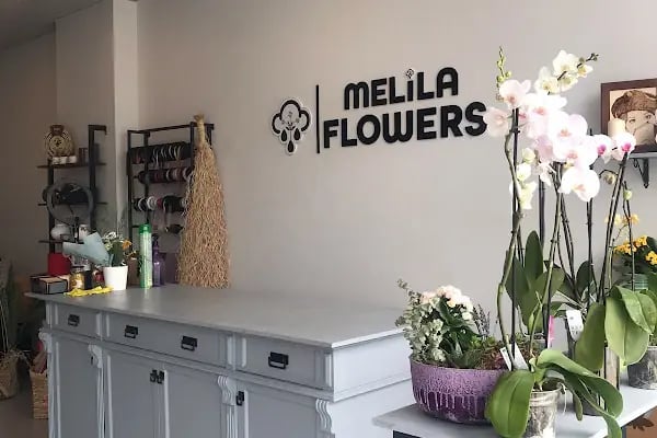 MELİLA FLOWERS - Resim 16