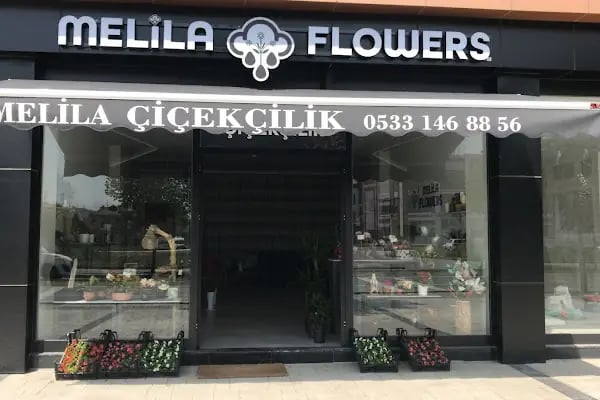 MELİLA FLOWERS - Resim 2