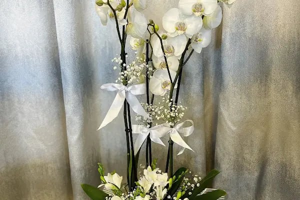 MELİLA FLOWERS - Resim 20