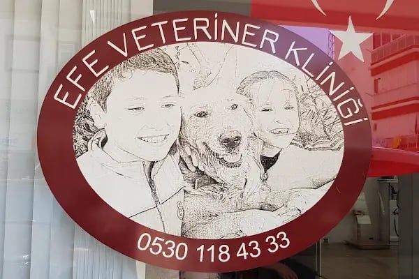 EFE Veteriner Kliniği - Resim 5