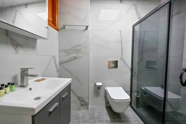 Lionas Hotel Kaleiçi - Resim 3