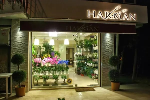 Harman Çicekçilik - Resim 2