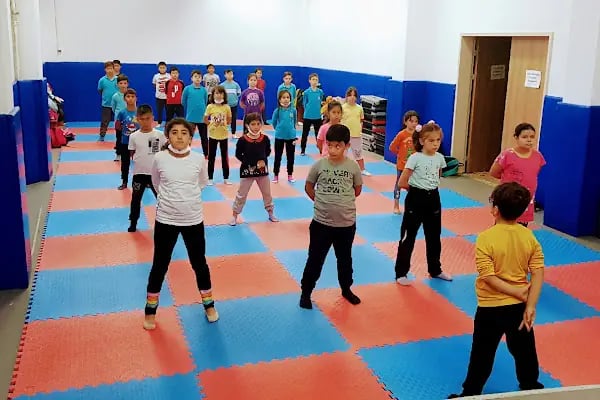Ayyıldız Spor Kulübü - Resim 2
