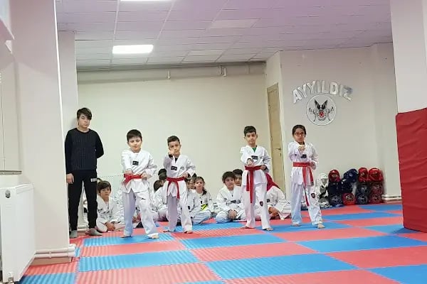 Ayyıldız Spor Kulübü - Resim 10