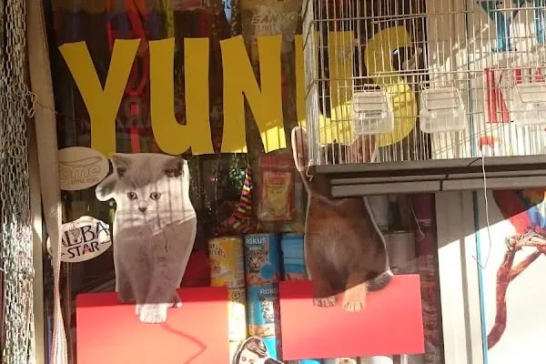 Yunus Kuş ve Akvaryum Galerisi - Resim 19