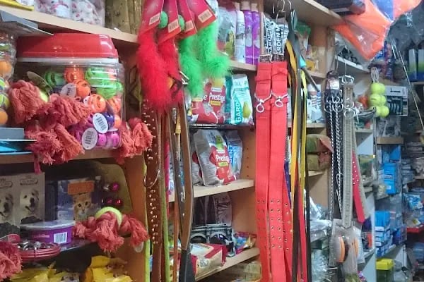 Yunus Kuş ve Akvaryum Galerisi - Resim 7