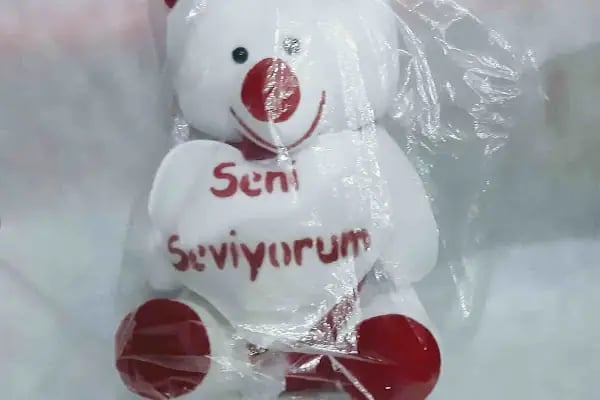 Nilgün Çiçek Evi. - Resim 8