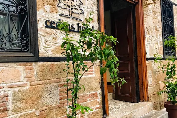 Cedrus Hotel Antalya Kaleiçi - Resim 5