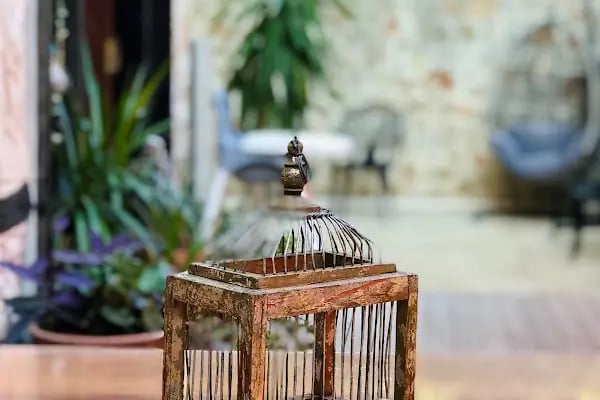 Cedrus Hotel Antalya Kaleiçi - Resim 14