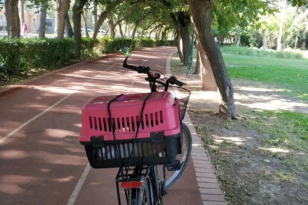 İzmir Büyükşehir Belediye Başkanlığı Veteriner Kliniği Çevre Koruma ve Kontrol Daire Başkanlığı - Resim 20