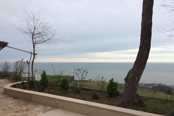 Hacı Mustafa Hayri Baba Türbesi - Resim 12