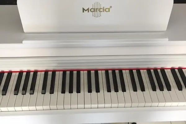 Alanina Müzik Store - Resim 16
