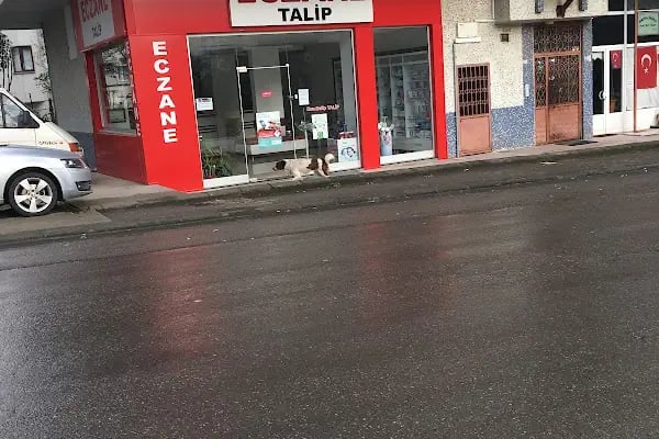 TALİP ECZANESİ - Resim 1