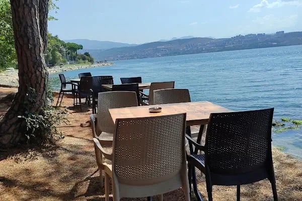 Moii Cafe &amp; Bar - Resim 5