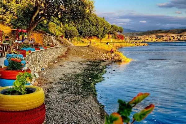 Moii Cafe &amp; Bar - Resim 14