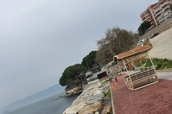 Moii Cafe &amp; Bar - Resim 16