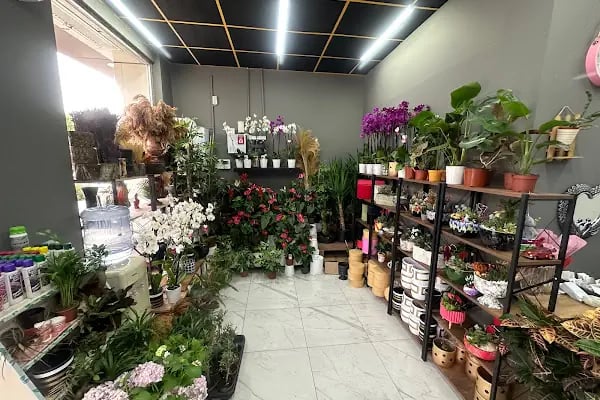 BT ÇİÇEK EVİ , Soğanlı çiçekçi adrese teslim , Çiçek gönder - Resim 4