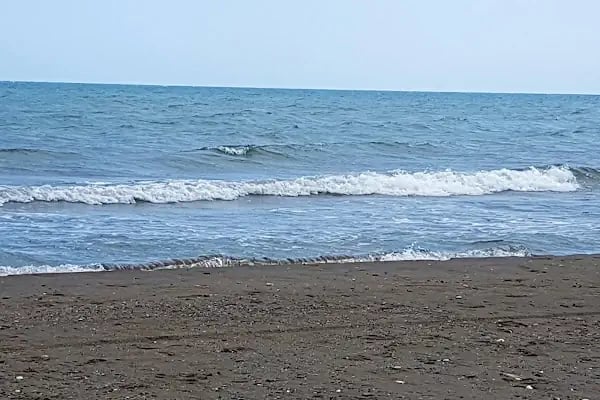 Dostlar Sitesi - Resim 17