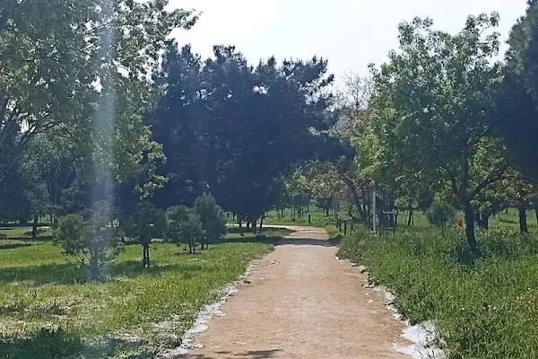 Florya Spor Tesisi Toprak Kortlar - Resim 16