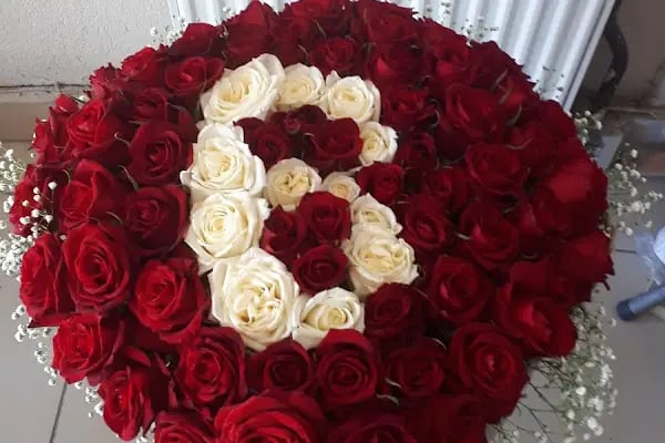 Akşehir çiçekçilik - Resim 17