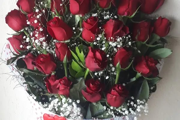 Akşehir çiçekçilik - Resim 15