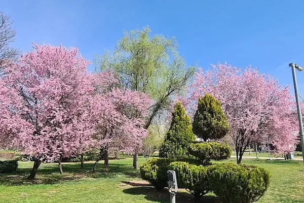 Göksu Parkı Açık Hava Tiyatrosu - Resim 7