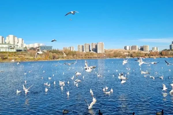 Göksu Parkı Açık Hava Tiyatrosu - Resim 8
