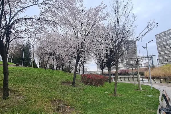 Göksu Parkı Açık Hava Tiyatrosu - Resim 17