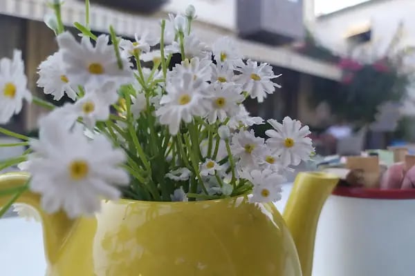 Kuruçeşme Kahvesi &amp; Nargile Alaçatı - Resim 15