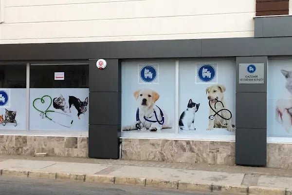 Gaziemir Veteriner Kliniği - Resim 16