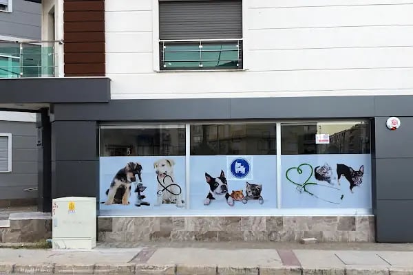 Gaziemir Veteriner Kliniği - Resim 15