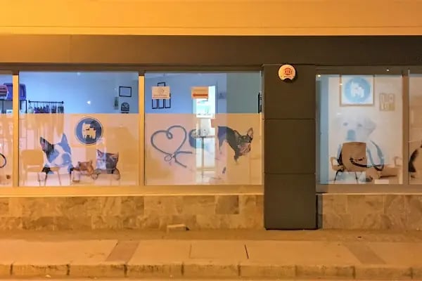 Gaziemir Veteriner Kliniği - Resim 5