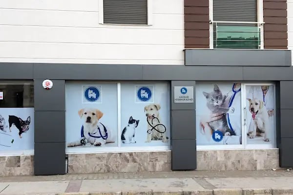 Gaziemir Veteriner Kliniği - Resim 1