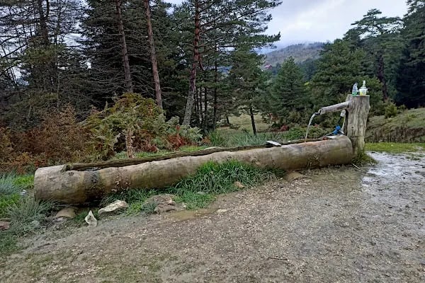 Karagöl Yaylası - Resim 20