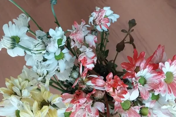 PREMİUM FLOWERS ÇİÇEKÇİLİK VE HEDİYELİK EŞYA - Resim 4
