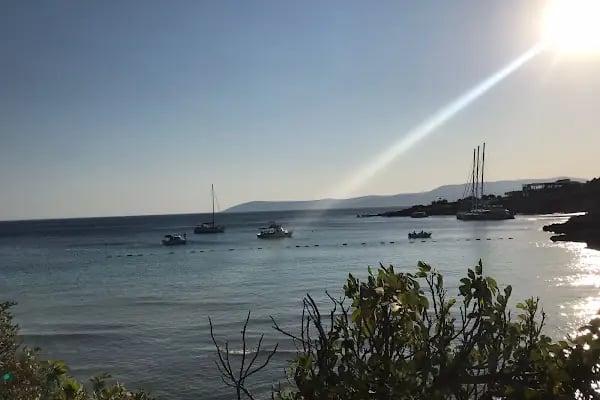 Ekmeksiz Tabiat Parkı - Resim 13
