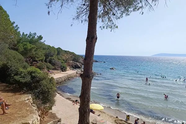 Ekmeksiz Tabiat Parkı - Resim 3
