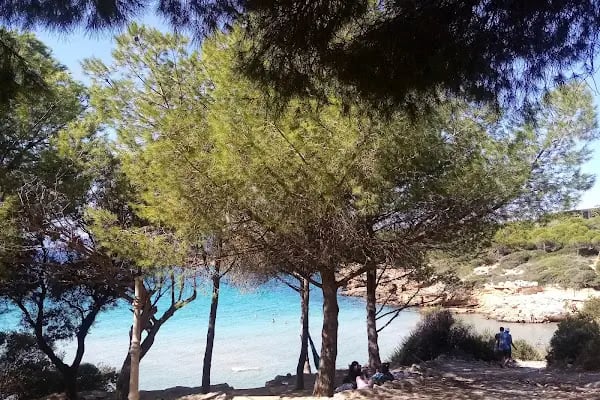 Ekmeksiz Tabiat Parkı - Resim 8