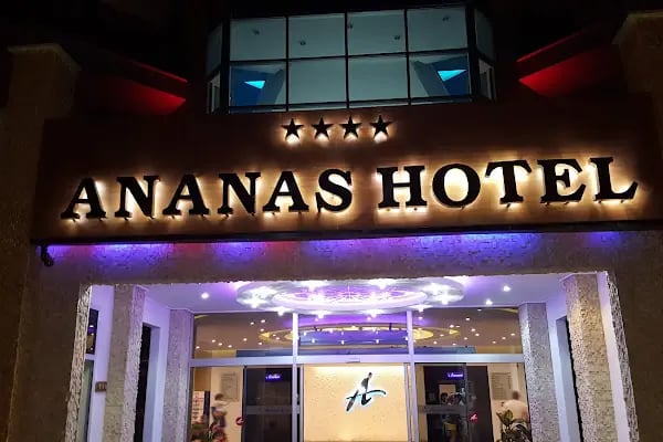 Ananas Hotel - Resim 20