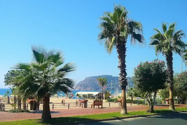 Ananas Hotel - Resim 19