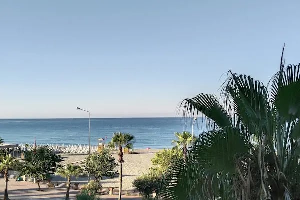 Ananas Hotel - Resim 12
