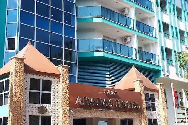Ananas Hotel - Resim 9