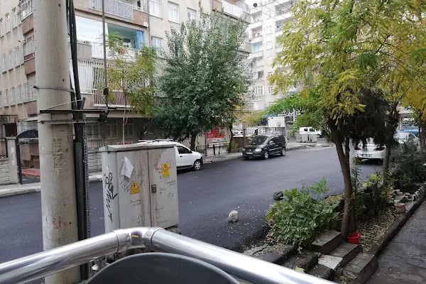 Gagalı Petshop - Resim 14