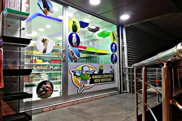 Gagalı Petshop - Resim 1