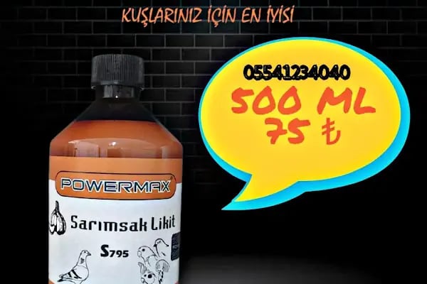 Gagalı Petshop - Resim 11