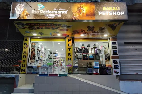 Gagalı Petshop - Resim 8