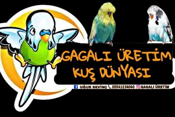 Gagalı Petshop - Resim 7