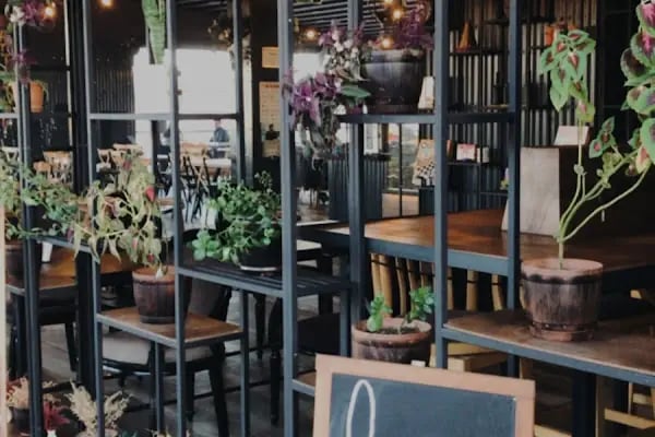 Antelope Cafe - Resim 13