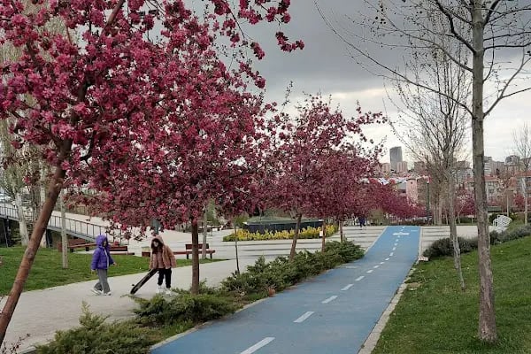 Erdal İnönü Kapalı Yüzme Havuzu - Resim 11